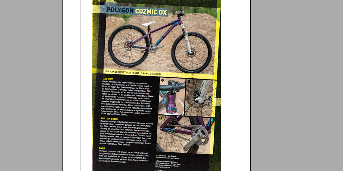 review polygon cozmic dx world of mtb germany 1