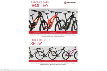 polygon collosus dh9: the new downhill winning machine (baikbike.com) 9