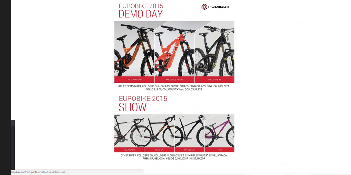 polygon collosus dh9: the new downhill winning machine (baikbike.com) 1