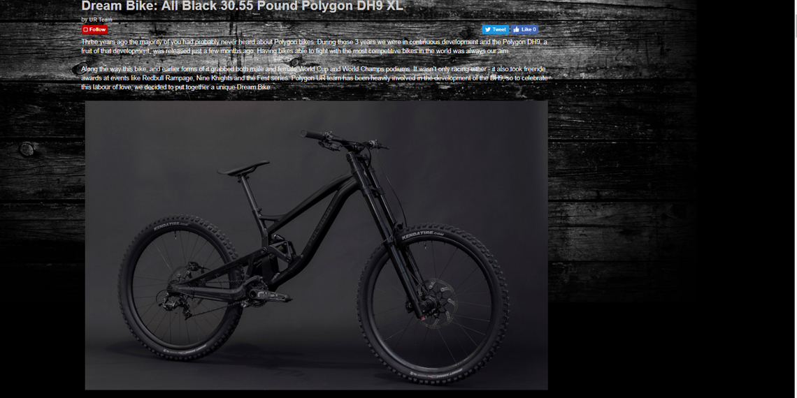 dream bike: all black 30.55 pound polygon dh9 xl (pinkbike.com) 1