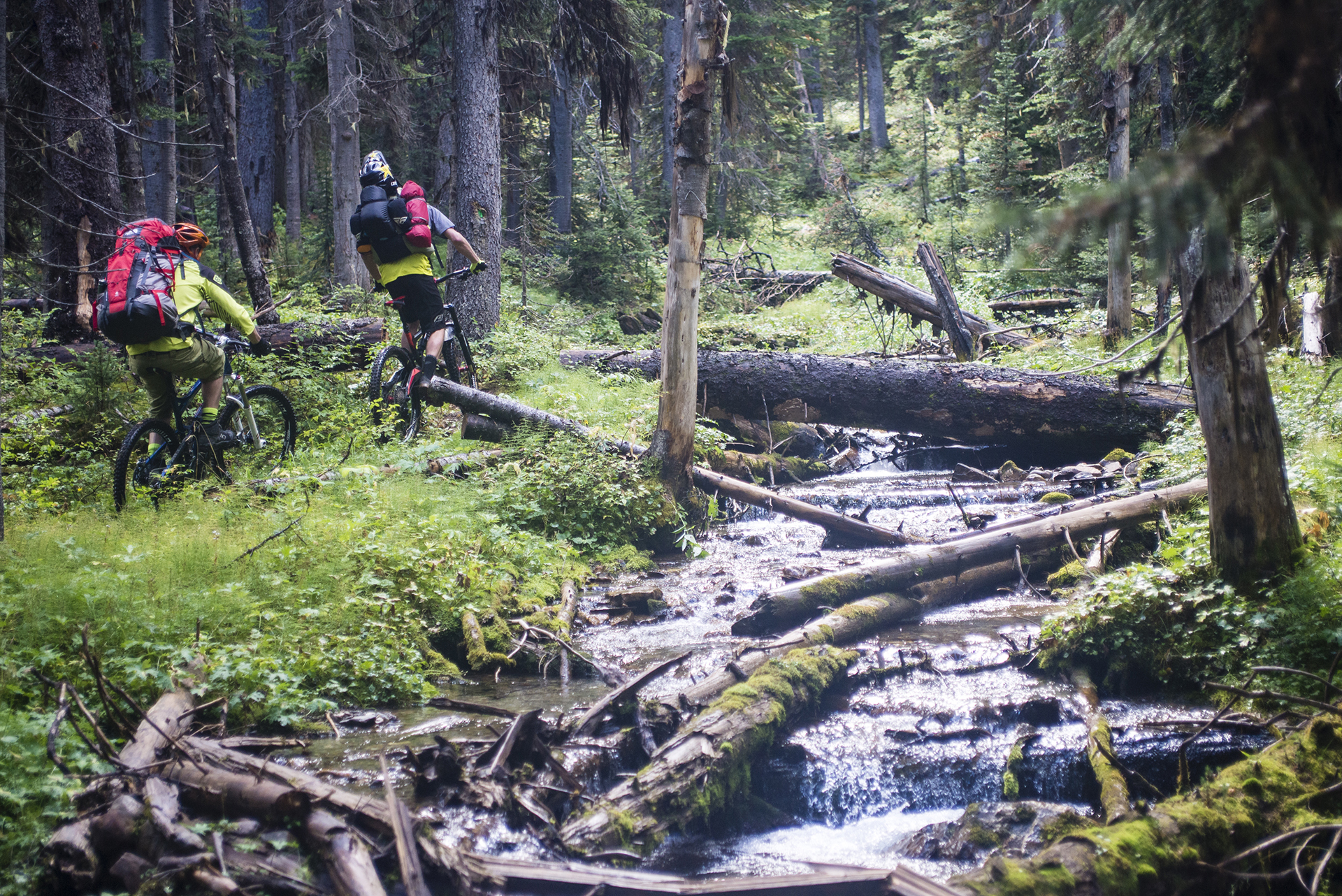 Kurt Sorge: Dogtooth Range 198 kurt sorge: dogtooth range 197