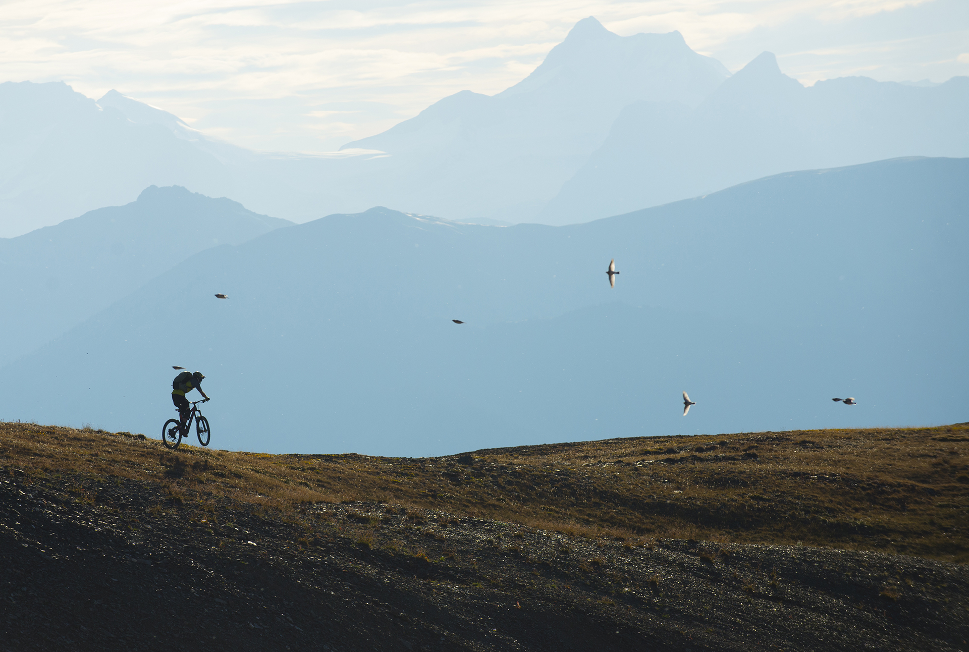 kurt sorge: dogtooth range 235