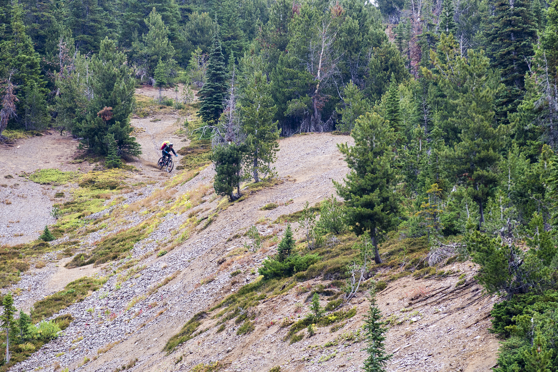 Kurt Sorge: Dogtooth Range 250 kurt sorge: dogtooth range 249