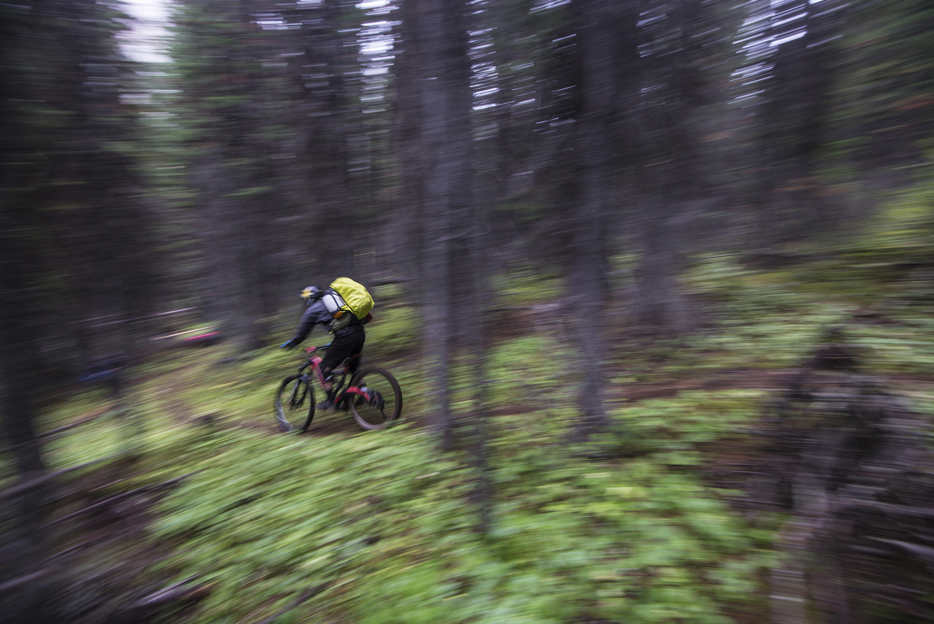 Kurt Sorge: Dogtooth Range 254 kurt sorge: dogtooth range 253